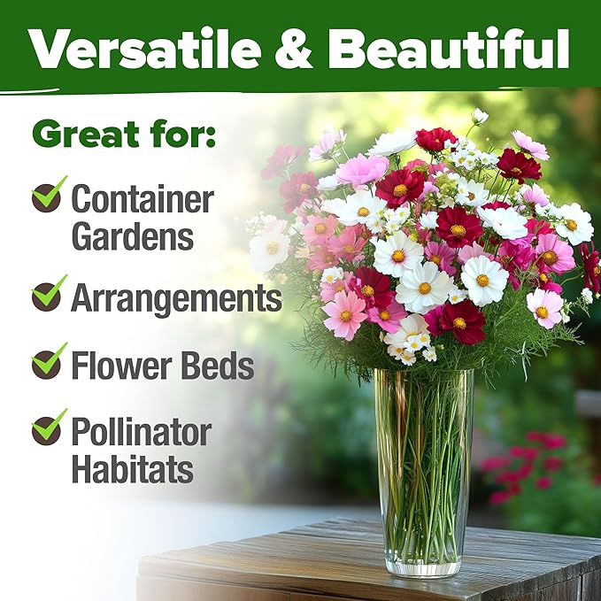 HOME GROWN Cosmos Flower Seeds Bulk Pack for 2026 (1.8 oz) 8,000+ Non GMO Heirloom Annual Wildflower Seeds – Pollinator-Friendly Mix for Pollinators & Outdoor Gardens