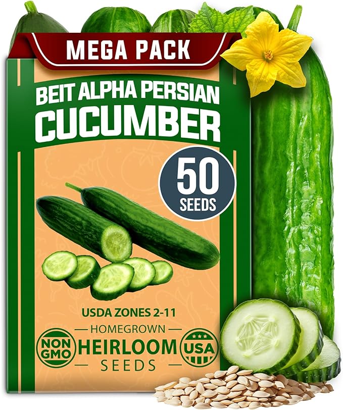 HOME GROWN Persian Cucumber Seeds – 50+ Heirloom Non-GMO, High-Yielding Beit Alpha Variety | Fast Growing, Sweet Tender Skin, Home Vegetable Garden Seeds (Cucumis sativus)