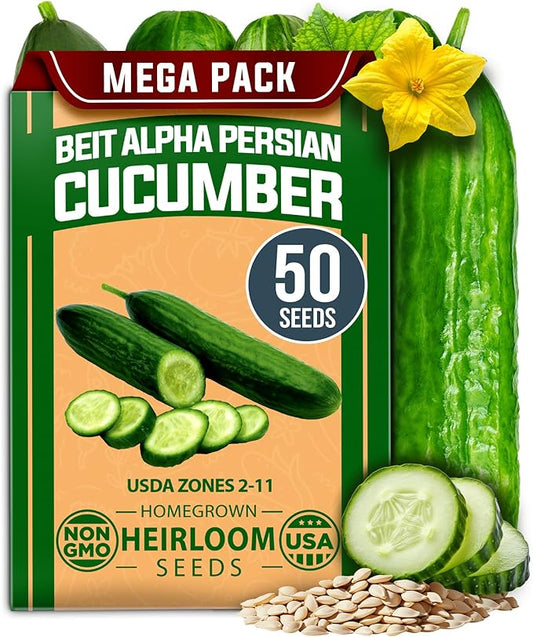 HOME GROWN Persian Cucumber Seeds – 50+ Heirloom Non-GMO, High-Yielding Beit Alpha Variety | Fast Growing, Sweet Tender Skin, Home Vegetable Garden Seeds (Cucumis sativus)