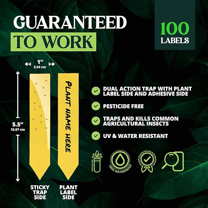 Catchmaster Dual Action Plant Labels 100 PK, Sticky Insect Trap Plant Stakes, for Live Plants Indoor Outdoor, Fruit Fly Trap, Glue Traps for Home, Farm, Garden, Hydroponics & Greenhouse, Pest Control