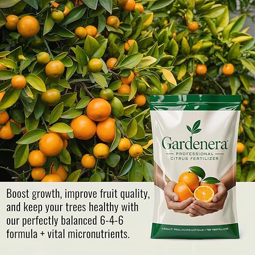 𝐁𝐄𝐒𝐓𝐒𝐄𝐋𝐋𝐄𝐑 Citrus Fertilizer + Vital Micronutrients - Perfect Balanced NPK for All Citrus - for Indoor and Outdoor Plants - Orange, Lime, Avocado and Lemon Tree Fertilizer - 20 QUARTS