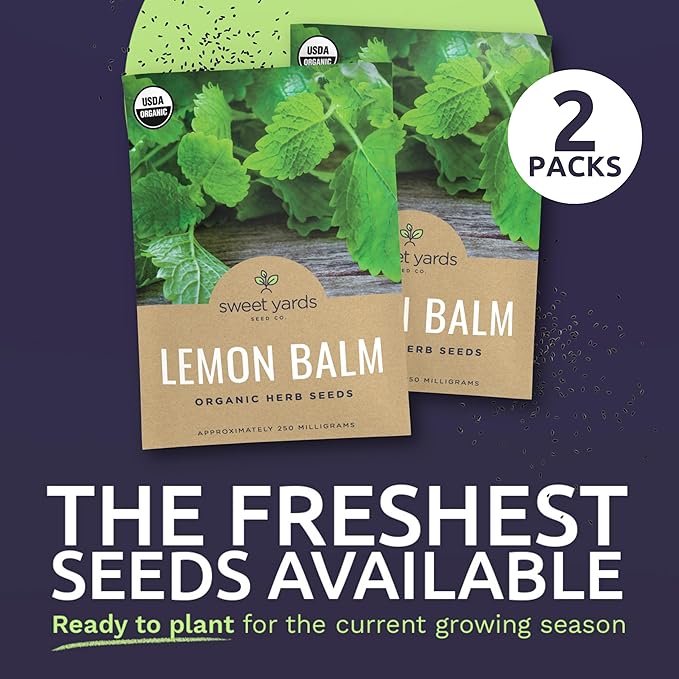 Sweet Yards Seed Co. Organic Lemon Balm – Two Seed Packets! – Approx. 620 Open Pollinated Non-GMO Herb Seeds