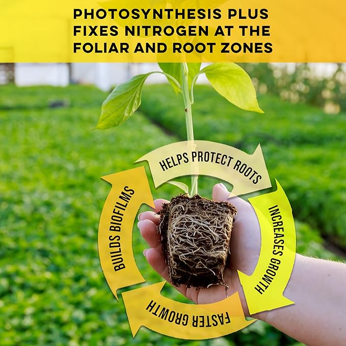 Microbe Life Hydroponics Premium Photosynthesis Plus to Grow Fruits, Vegetables, and Herbs, The Best Professional Big Bud Grow, Use with Any Feeding Systems Including Hydroponics or Soil, 1 Gallon