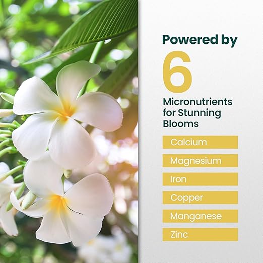 16oz Plumeria Fertilizer - Makes 16 Gallons of Liquid Plant Food for Plumeria Plants Live, Tropical Plant Fertilizer for Vibrant Flowers, Glossy Leaves, and Strong Roots - Nutrient-Rich Flower Food
