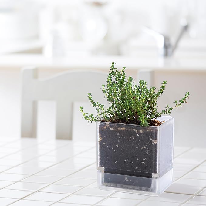 D'vine Dev 4 Inch Herb Planter Pot, Plastic Planter with Drainage Holes and Saucer, Modern Decorative Gardening Pot for Indoor Plants, Flowers, Herbs, Succulents, Clear, Set of 4, 76-Y-D-4