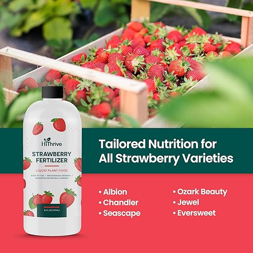 16oz Strawberry Fertilizer - Makes 16 Gallons of Fruit Tree Fertilizer for Strawberries, Liquid Plant Food Outdoor, Ideal Strawberry Plant Food for Lush Growth & Bigger, Sweeter Strawberries