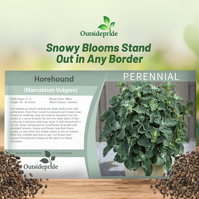 Outsidepride - Horehound Seeds - 5000 Pcs. Perennial, Compact, Easy to Grow & Pollinator Friendly, Herb Seeds for Planting Toothed, Wooly Gray-Green Foliage for Versatile & Culinary Uses