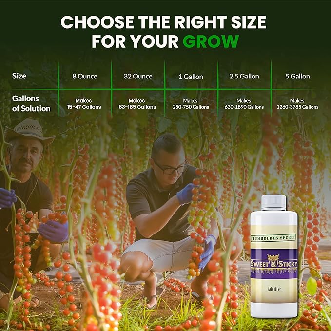 Humboldts Secret Sweet & Sticky Carbohydrate and Saccharide Plant Energy Additive | Indoor and Outdoor Plant Nutrients Enhancer for Growth and Aroma | Boosts Flavor and Resin Development | 8 Ounce