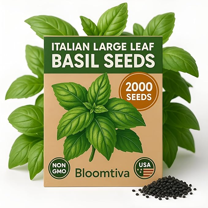2000 Basil Seeds for Planting - Italian Large Leaf, Non-GMO and Heirloom Herbs Seeds for Planting, USA Grown Tulsi Basil, Great for Indoor or Outdoor Growing (Ocimum basilicum)