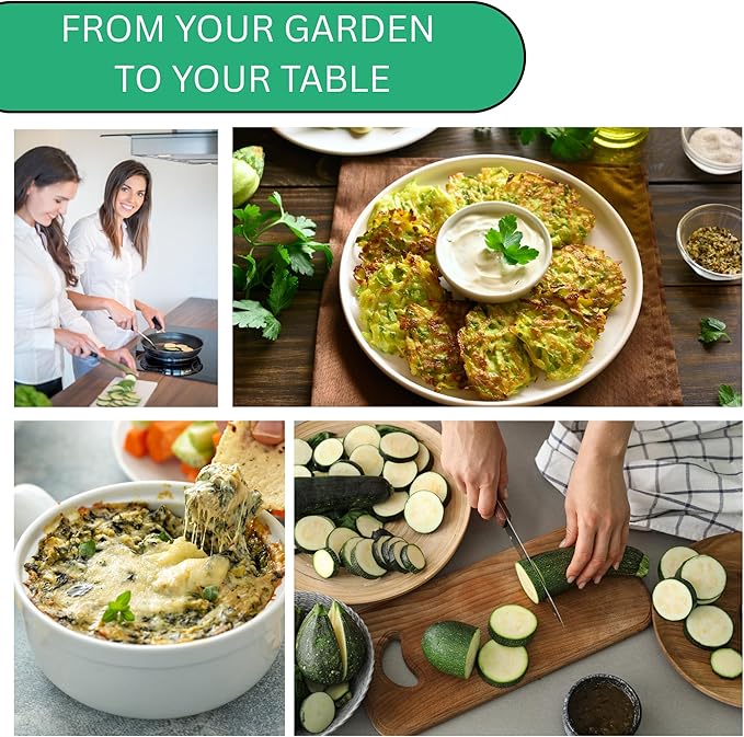 Woods Creek Seeds: Black Beauty Zucchini Summer Squash Seeds for Planting - Over 90 Heirloom Non-GMO Summer Squash Seeds for Planting Outdoors or Indoors - Beginner Friendly & High Yield Seed