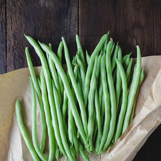 Blue Lake Bush Bean 274 Seeds - 1 Lbs - Non-GMO, Heirloom, Open Pollinated - Vegetable Garden Seeds - Green String Beans
