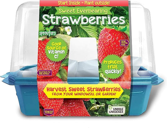 Grow Your Own Strawberries Kit, Everbearing Sweet and Juicy Strawberry Plants for Indoor and Outdoor Planting, Includes Everything for Easy Gardening Just Add Water