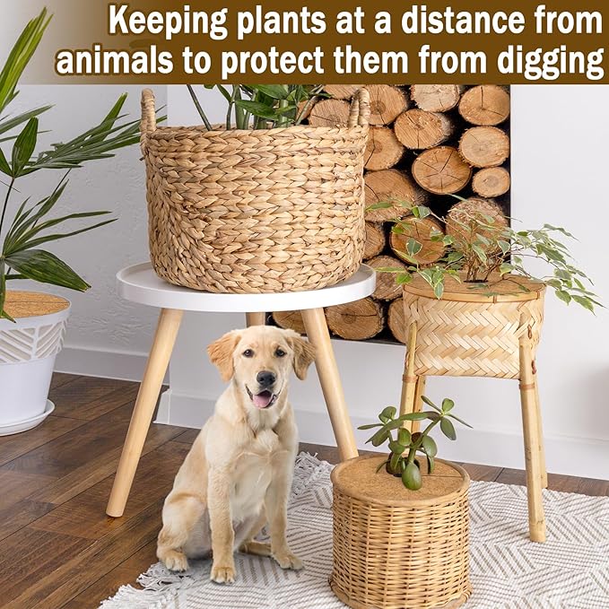 ZeeDix 3 Pack Coconut Fiber Mulch Ring, 11.8 Inch Coco Coir Tree Ring Mulch Mat, 100% Natural Tree Protector Mat Plant Cover Ring Coconut Coir Discs Tree Mats Mulch Rings for Indoor Outdoor Plants