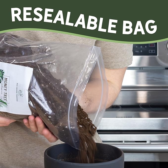Money Tree Soil (4 Quarts), Potting Mix for Planting/Repotting Pachira Aquatica, All-Natural Custom Soil Blend