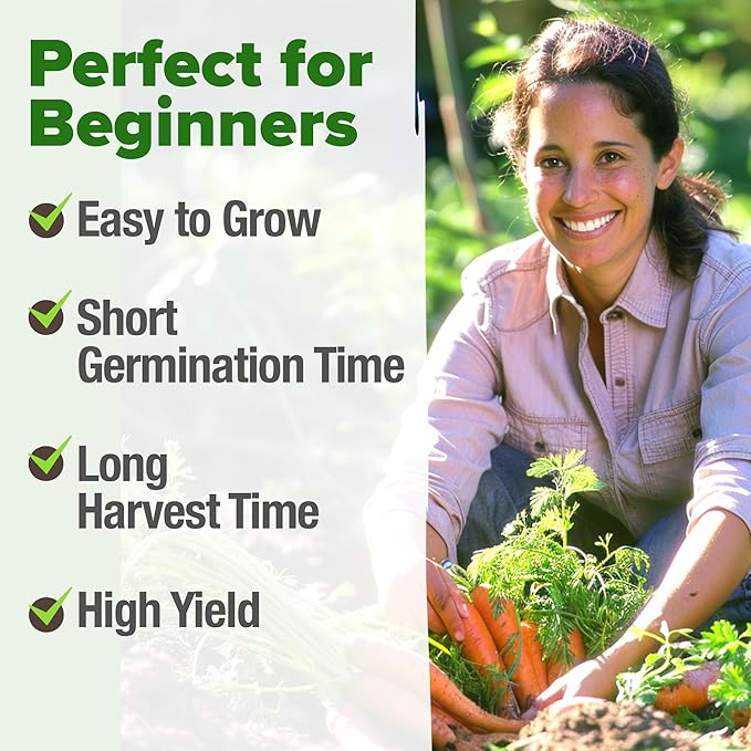 HOME GROWN Tendersweet Carrots Seeds 2 Pack - 6000 Non-GMO Heirloom Carrot Seeds for Planting Outdoors - High- (Daucus carota subsp. sativus)