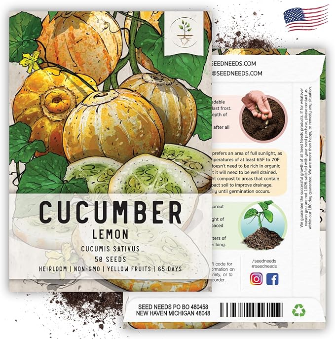 Seed Needs Cucumber Seeds for Planting Lemon Cucumbers - Heirloom Non-GMO & Untreated Vegetable Seeds to Grow an Outdoor Home Grown Veggie Garden (1 Pack)