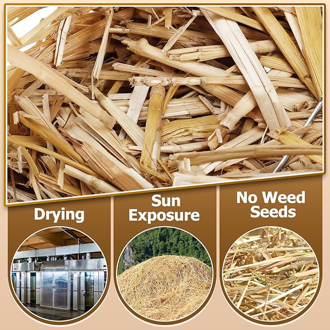 Natural Wheat Straw - 3 LB Dry Straw, Clean and Soft Decorative Straws Bale for Stray Cats Dogs Yard Farm Pets Garden Mulch Grass Cover