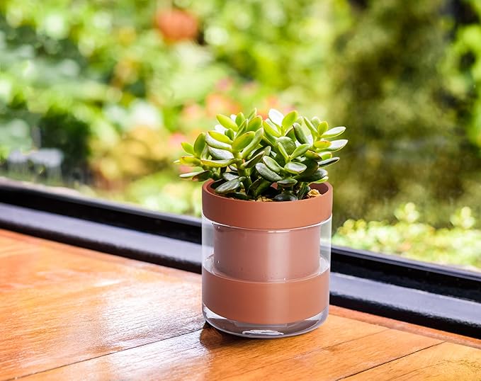 Phoenix Vine 4 Inch Self Watering Planter Pot, Terracotta Clay Pot with Glass Reservoir for Indoor Plants, Herbs, Flowers, Set of 3, 52-A-E-3