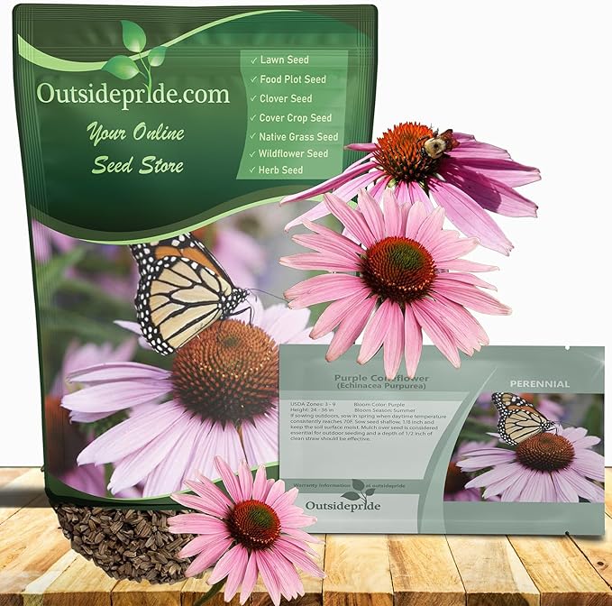 Outsidepride Purple Echinacea Coneflower Seeds - 1 lb Perennial, Deer-Proof & Drought Tolerant Flower Seeds with Daisy-Like Blooms for Pollinator-Friendly Gardens, Borders, & Meadows