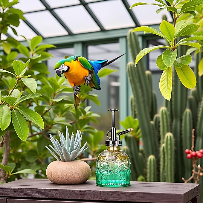 Glass Plant Mister Spray Bottle, Vintage Plant Spritzer, Succulent Watering Bottle Glass with Top Pump, Small Plants Sprayer Watering Can for Indoor Outdoor House