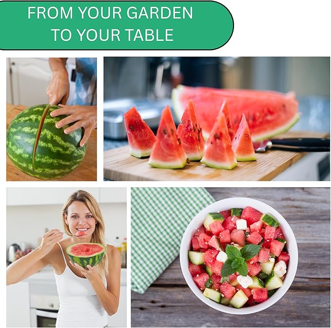 Woods Creek Seeds: Sugar Baby Watermelon Seeds for Planting - Over 90 Heirloom Watermelon Seed Pack - Non-GMO Fruit Seeds for Planting Home Garden or Outdoors - Mini Watermelon Seeds for Gardeners