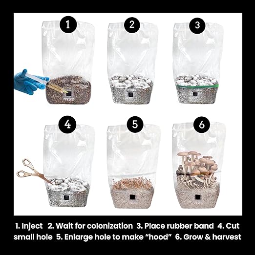 North Spore 'ShroomTek' + Spore Boostr All-in-One Mushroom Grow Bag | Grow Dung-Loving Mushrooms Like Magic Right in The Bag | Just Add Your Own Spores | Made by Mycologists