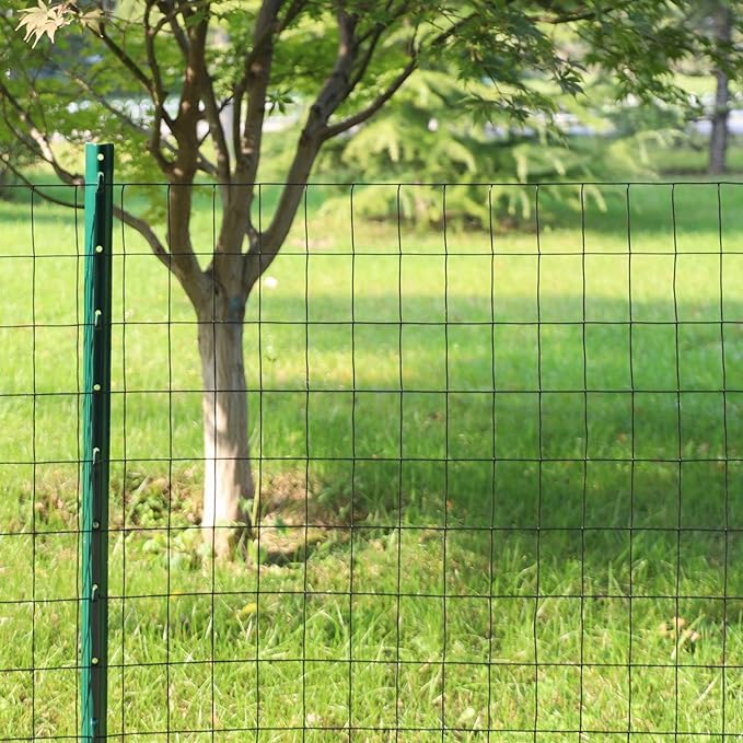 Black PVC Coated Welded Wire Fence 48 Inch x 50 Foot, 2 Inch x 3 Inch 16GA, Garden Border Fencing Roll Vinyl Coating Metal Wire Mesh for Yard Vegetable Plant Protection Poultry Netting