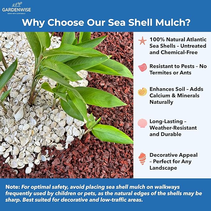 Natural Organic Sea Shell Mulch for Gardens and Landscaping – Decorative and Nutrient-Rich, 0.5–3-Inch Shells, Perfect for Indoor and Outdoor Use (0.2 CF - 4.8 L - 5 QTS)