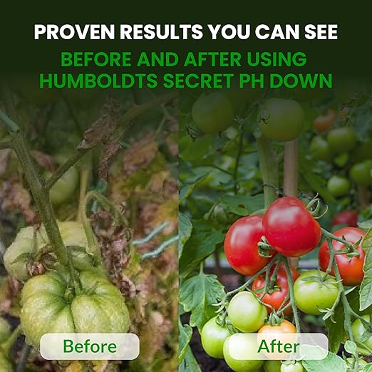 Humboldts Secret pH Down for Plants | Liquid pH Adjuster and Balancer for Soil Coco Hydroponics | Concentrated Phosphoric Acid Solution Supporting Nutrient Uptake and Strong Growth | 1 Gallon