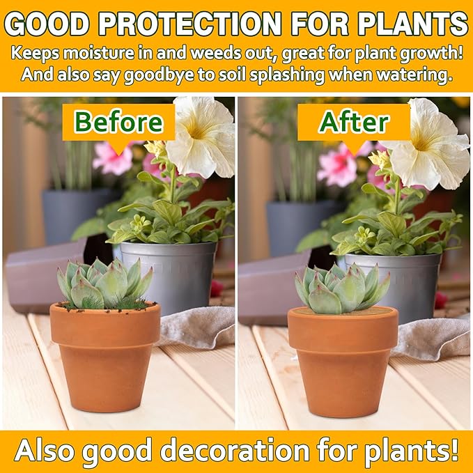 ZeeDix 10 Pack Coconut Fiber Mulch Ring, 6 Inch Coco Coir Tree Ring Mulch Mat, 100% Natural Tree Protector Mat Plant Cover Ring Coconut Coir Discs Tree Mats Mulch Rings for Indoor Outdoor Trees Plants