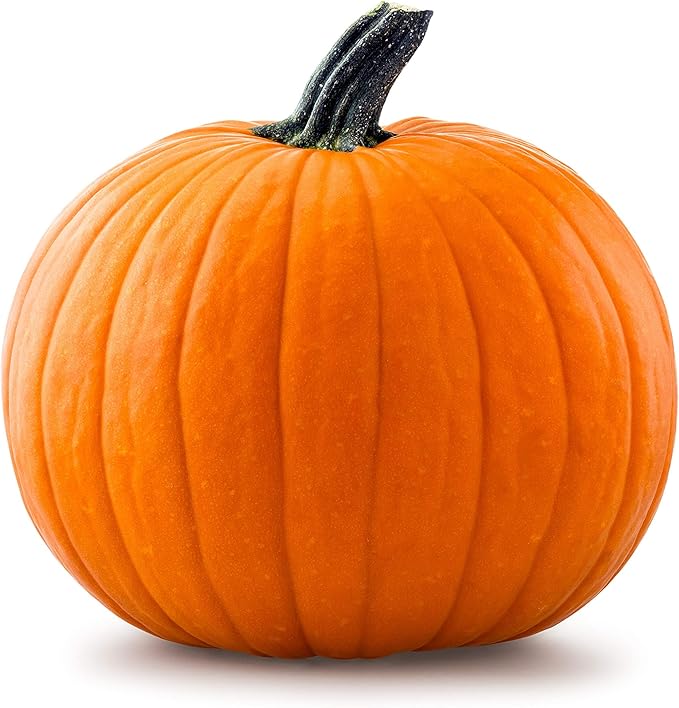 20 Big Max Pumpkin Seeds for Planting - Heirloom Non-GMO USA Grown Premium Vegetable Seeds for Planting - Grows Big Giant Pumpkins up to 100 lbs! Grown for Pies and Halloween Jack O Lanterns