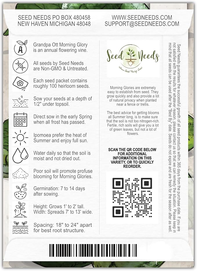 Seed Needs, Grandpa OTT Morning Glory Seeds - 100 Heirloom Seeds for Planting Ipomea purpurea - Annual Blue/Violet Blooms, Flowering Vine for a Natural Privacy Fence (1 Pack)