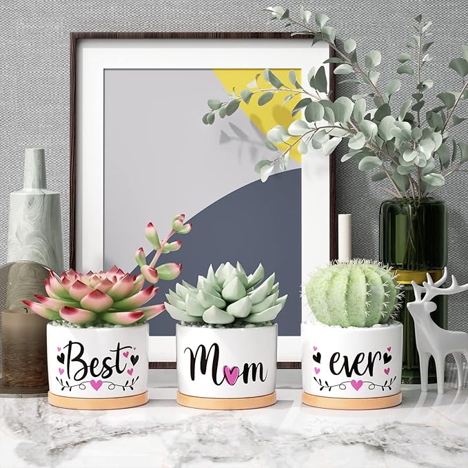 Christmas Mom Gifts, Best Gifts for Mom from Daughter Son Kids Unique, Best Mom Ever Succulent Pots for Plants Indoor Ceramic Planter, Gift Boxed Thanksgiving Birthday Gifts for Mom Mother-in-Law Wife
