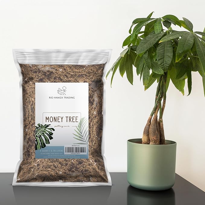 Money Tree Soil (4 Quarts), Potting Mix for Planting/Repotting Pachira Aquatica, All-Natural Custom Soil Blend