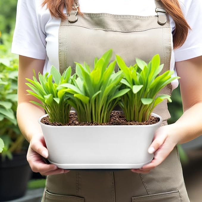 5 Set Window Herb Planter Box Rectangular,8.5x3.5 Inch White Plastic Planters with Multiple Drainage Holes and Trays,Indoor Succulent Cactus Mint Flower Pot for Windowsill,Garden Balcony