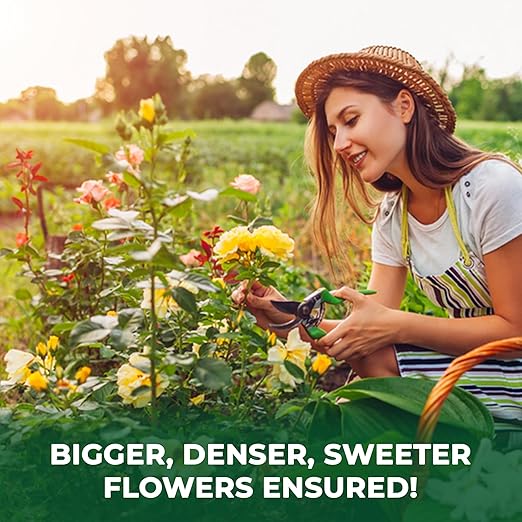 BuildASoil Vegan Bloom Booster & Flower Fertilizer – Organic Hydrangea & Rose Fertilizer Plant Food, Bloom Booster Fertilizer for Outdoor Gardens & Houseplants – Natural Soil Flower Food, 5 LB Bag