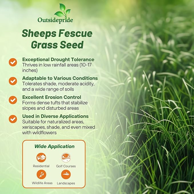 Outsidepride Sheeps Fine Fescue Grass Seed - 10 Lbs. Perennial Heat & Drought Tolerant Dense Green, Traffic-Resistant Turf for Shaded Environments w/OptiGrowth Coating for Seed Enhancement