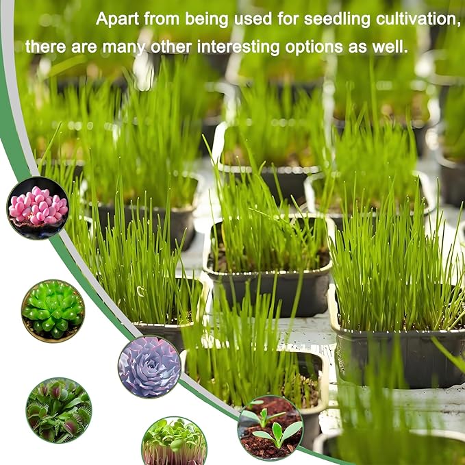 2 Inch Square Plant Nursery Pots (Black+Clear),50Pcs Seedling Planter Seed Starter Pots,Sturdy Small Plastic Pots with Drainage Holes