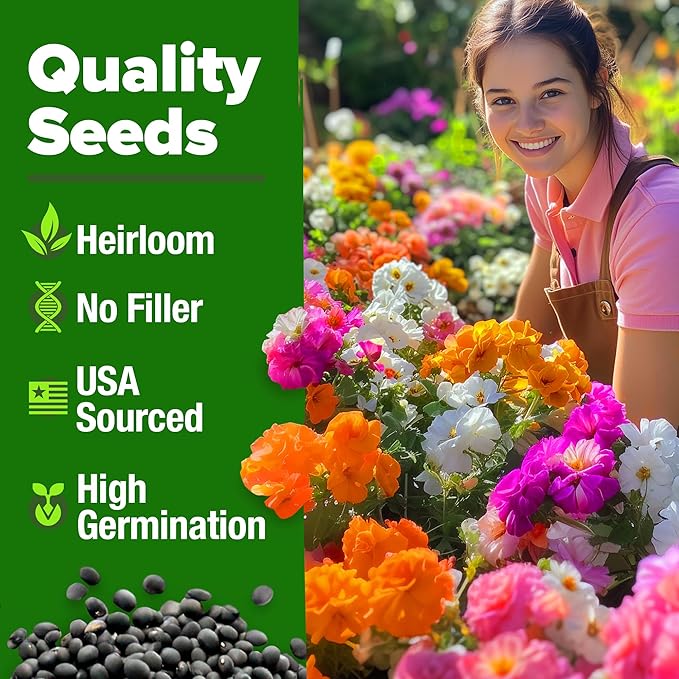 HOME GROWN 23,500+ Moss Rose Seeds (Bulk Pack) Annual Flower for Ground Cover - Heirloom Non GMO Portulaca Seeds for Planting Outdoors - Great for Low-Maintenance Gardens (Portulaca grandiflora)