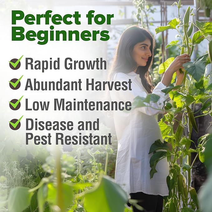 HOME GROWN Clemson Spineless Okra Seeds 101+ Heirloom Vegetable Seeds for Planting Easy to Grow Outdoor Summer Garden High Germination Rate (Abelmoschus esculentus)