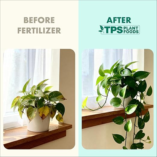 Indoor Plant Food, Liquid Fertilizer for Healthy Growth & Vibrant Foliage in Houseplants, by TPS Plant Foods, 8 oz (250 mL)