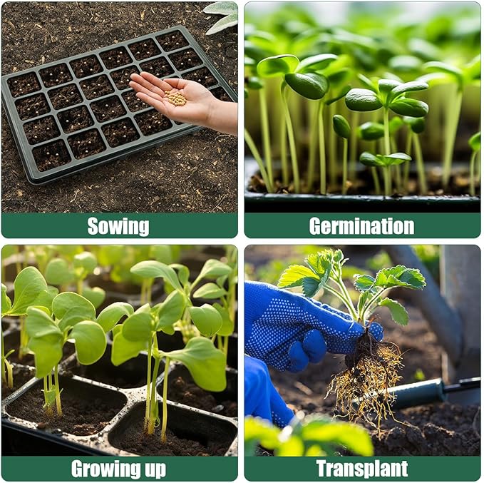 10 Pack Seed Starter Tray, 240 Cells XL Seedling Trays (2'' Each Cell) with Humidity Dome & Vented Lid, Mini Greenhouse Propagator for Plant Growing, Gardening Supplies