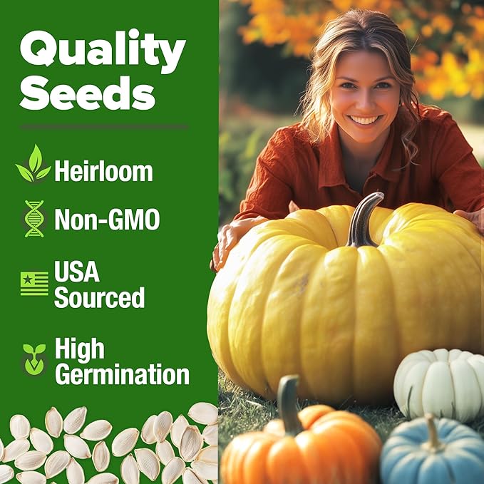 HOME GROWN 5 Pumpkin Seeds Mix - 40 Seeds Heirloom Pumpkin for Planting Ideal Garden for Unique Varieties Yellow Paris and Casper, Culinary and Decorative Use