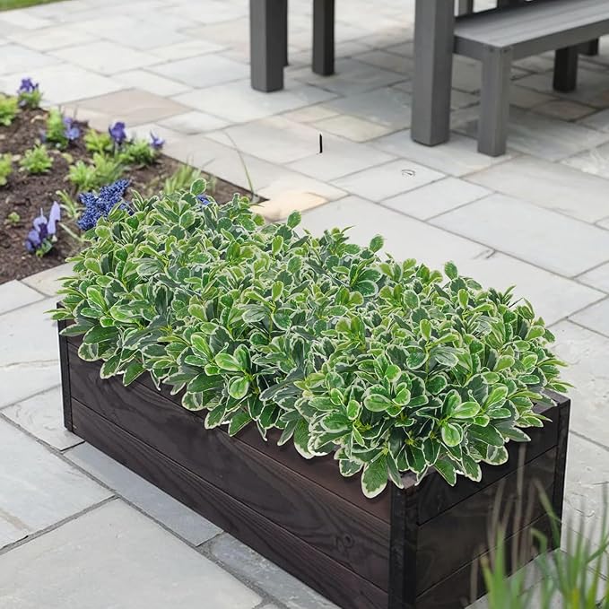 GTIDEA Faux Plants Outdoor Artificial Greenery 6Pcs Faux Greenery for Planters Fake Bushes Shrubs for Window Box Indoor Outside Garden Front Patio Yard Porch Décor