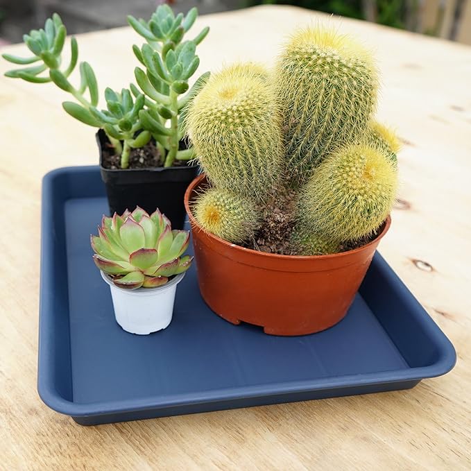 Rectangle Plant Tray, Plant Drip Tray, Plant Pot Saucers, Plant Germination Trays, Plant Saucers, 14.5'' x 11'' x 1.5'' (4 pack), Blue
