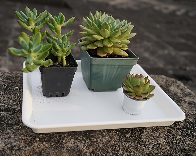Plant Growing Trays 4 Pack, Plant Tray, 14.5"x11", Heavy Sturdy Plastic Plant Saucer Seed Trays, Seedling Starter Tray, Plant Drip Trays for Indoors, Seed Starter Growing Tray (Creamy White)