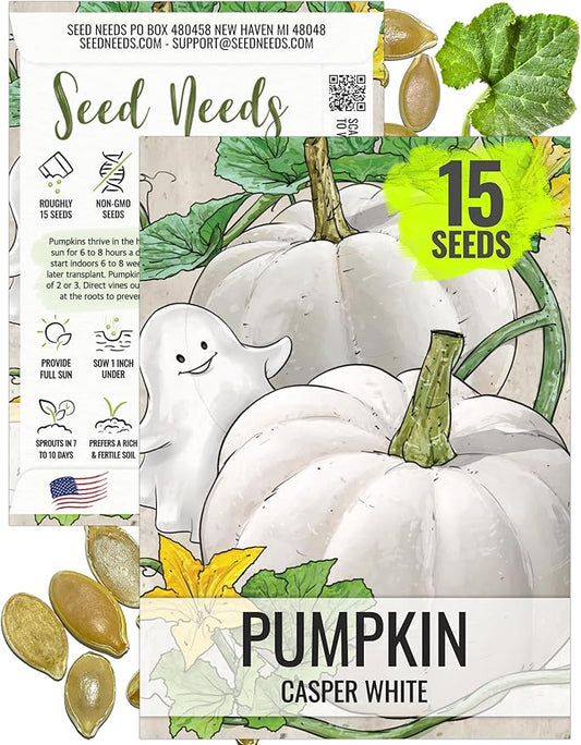 Seed Needs Pumpkin Seeds for Planting Casper White Pumpkins - Non-GMO Heirloom & Untreated Veggie Seed to Plant a Home Grown Outdoor Pumpkin Patch/Garden (1 Pack)