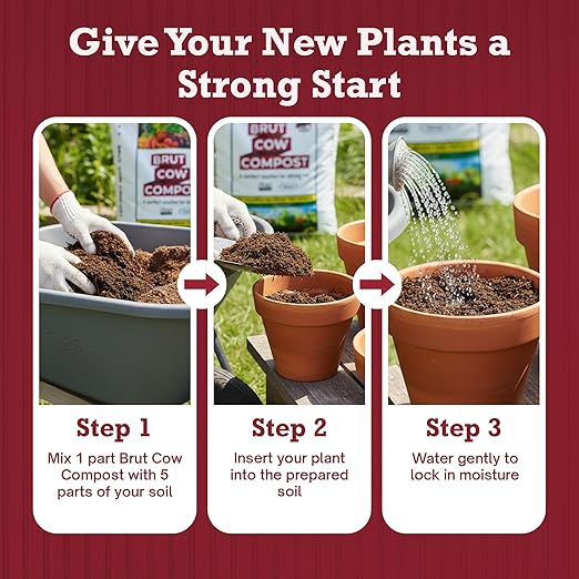 Brut Cow Compost – Nutrient-Rich Composted Cow Manure Organic Soil Amendment – 100% Pure Compost, Additive-Free Fertilizer for Vegetable Gardens, Flowers, Lawns & Indoor Plants – 30 Quart