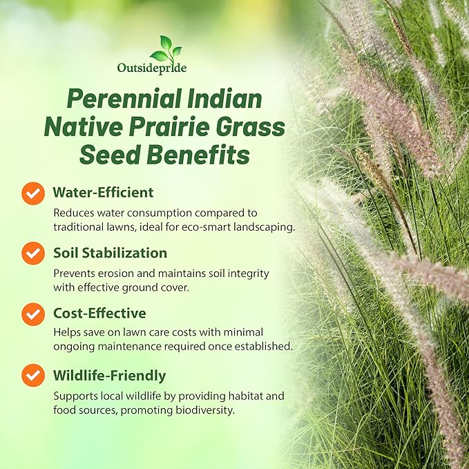 Outsidepride Indian Native Grass Seed - 5 lbs. Perennial, Low Maintenance, Drought-Tolerant Prairie Grass Seed for Wildlife Habitat, Livestock Forage, Ornamental Landscaping & Erosion Control