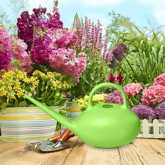 Plant Watering Can - for Indoor Plant Garden - 1/4 Gallon - Green